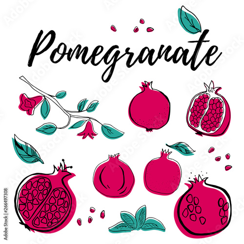 Hand drawn pomegranate fruit, berry with color shapes set vector illustration isolated on white background. Whole, parts, leaves and brunches sketch style collection. Fresh and tasty!