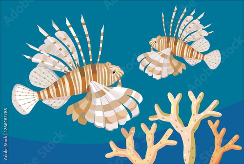 lionfish and corals