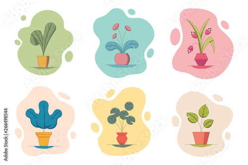 Vector illustration set of houseplants in flowerpots.