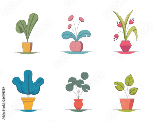 Vector illustration set of houseplants in flowerpots isolated on white background.