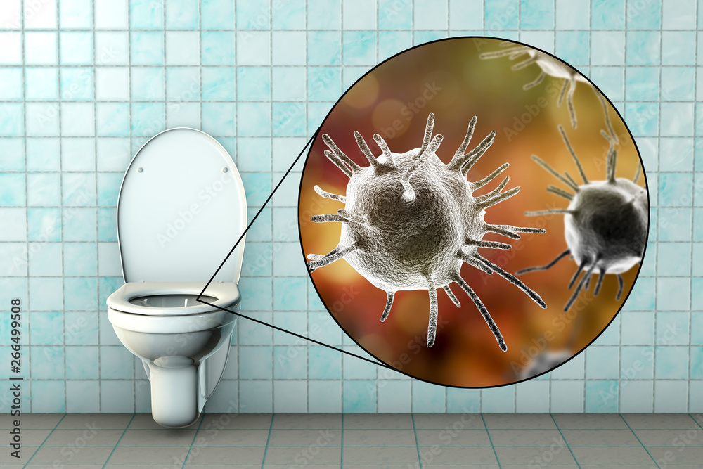 Toilet microbes, transmission of diarrheal infections Stock