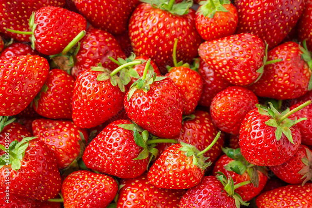 Fresh organic Strawberry fruit background Top view closeup Fresh organic Strawberry fruit background Top view closeup
