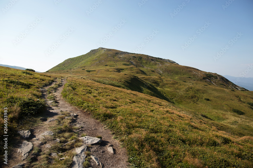 Fototapeta premium road in the mountains