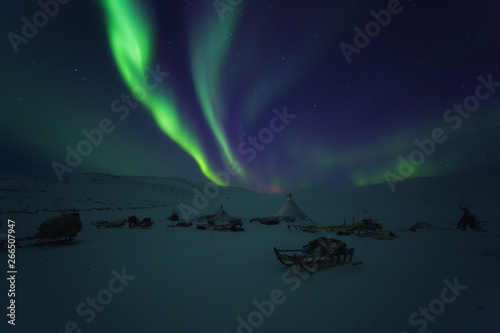 Fototapeta Naklejka Na Ścianę i Meble -  Winter night landscape with sledges, tent and polar lights in the sky. The Yamal Peninsula. Russia
