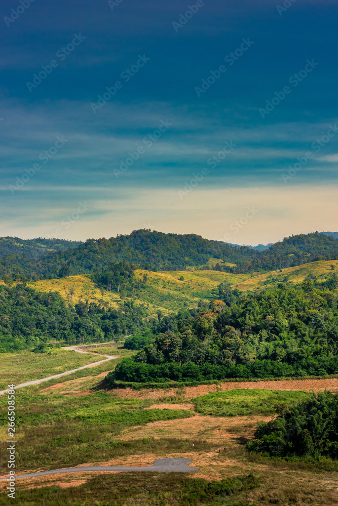 forest landscape : view of hills and mountain range full of green tree and clear blue sky.