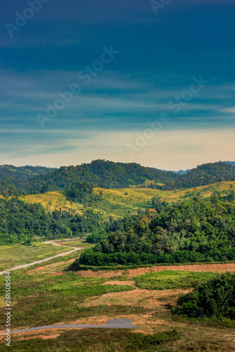 forest landscape   view of hills and mountain range full of green tree and clear blue sky.