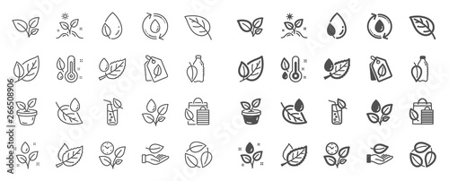 Plants line icons. Mint leaf, Growing plants and Humidity thermometer icons. Bottle with mint water, Nature care, leaf on hand. Gardening new flower, environment, water drop and thermometer. Vector