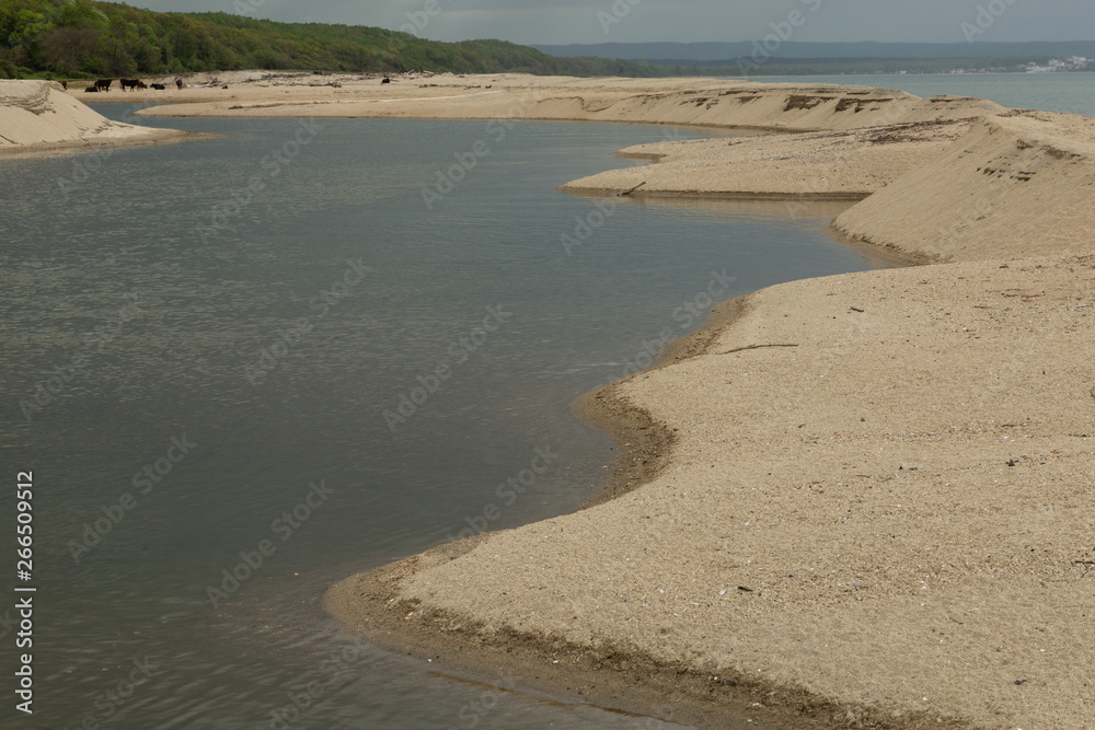 coast of the Black Sea at İğneada where the wetlands meet the sea coast of the Black Sea at İğneada where the wetlands meet the sea