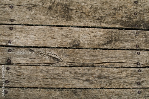 wooden texture, plank panel, wooden pattern, nails hammered into the plank photo
