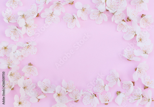 Floral pattern made of flowers of cherry on pink background. Flat lay, top view.
