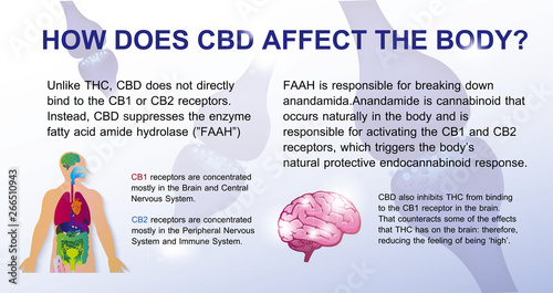 how does cbd affect the brain