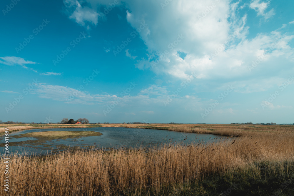 Dutch landscape, volgermeerpolder Amsterdam