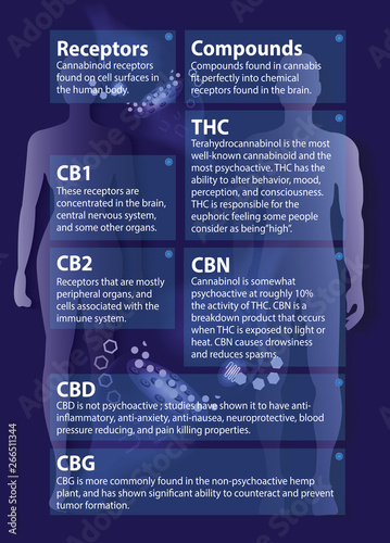 Printhuman endocannabinoid system is infographic backgrounds.