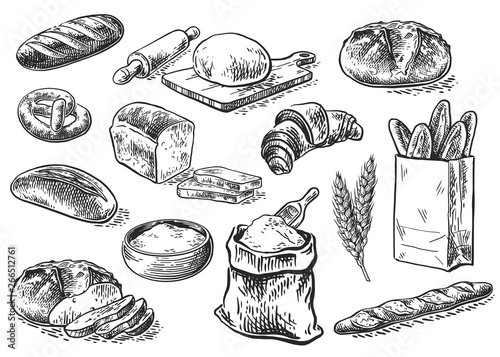 Fotografia bread sketch set