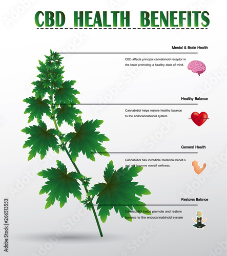 CBD health benefits,cbd oil is infographic