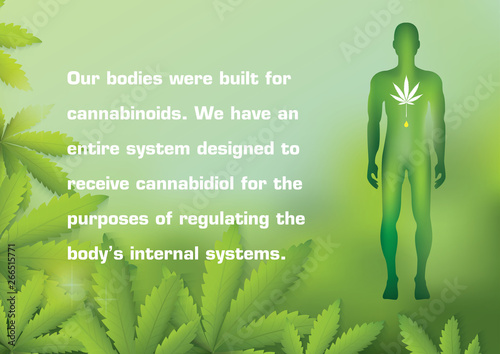 Our bodies were built for cannabinoids. We have an entire system designed to receive cannabidiol for the purposes of regulating the body’s internal systems.