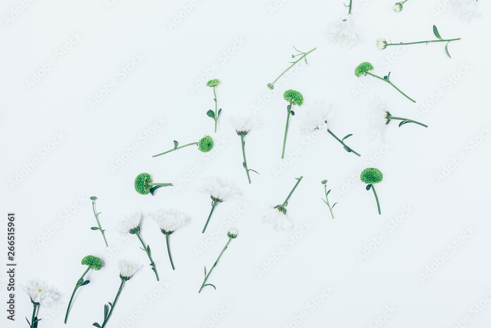 Abstract flat lay arrangement of fresh flowers Abstract flat lay arrangement of fresh flowers