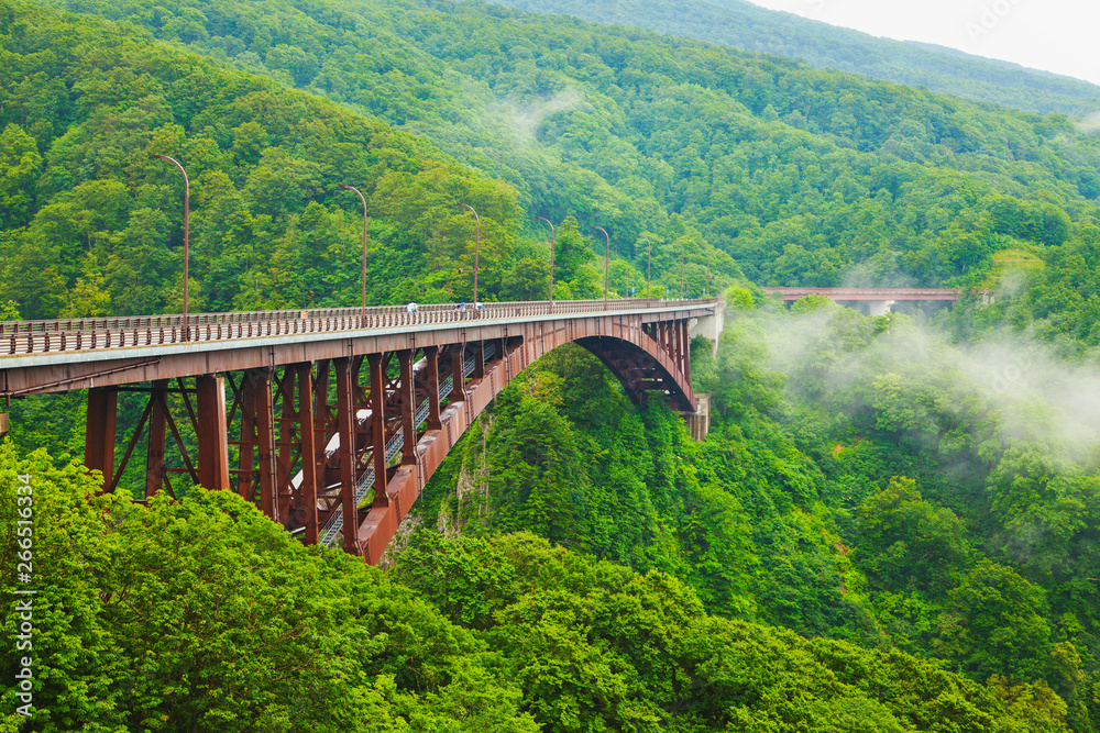 Fototapeta premium 霧湧く城ヶ倉大橋 八甲田山