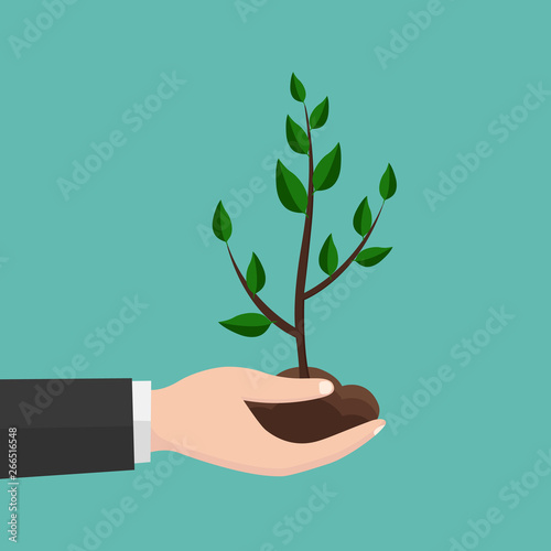 Illustration of human hand holding green small plant. Image for booklets, banners, flayers.