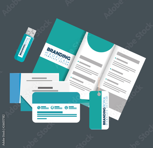 business brochure with cards and usb memory with label