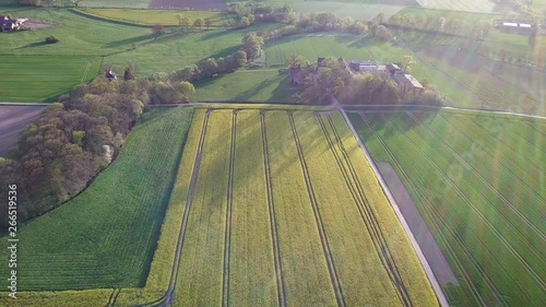 Aerial, amazing view of yellow crop fields