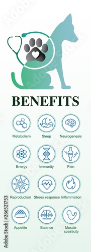 your dog benefits of effect on body receptors, vector infographic on white background.