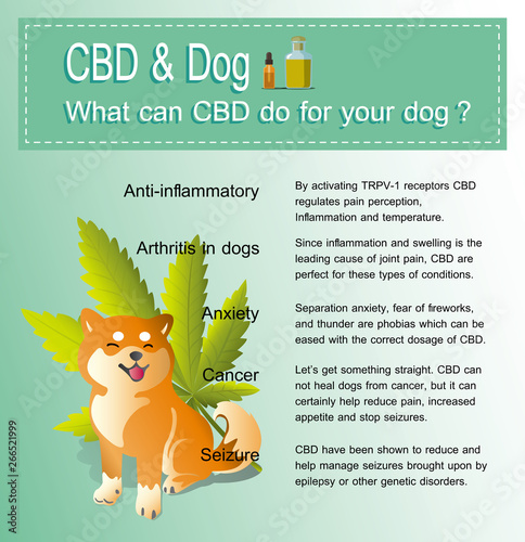 what can CBD do your dog can help your body benefits of cannabis.