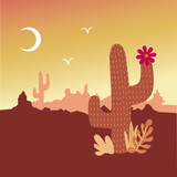 Hot desert cactus at night