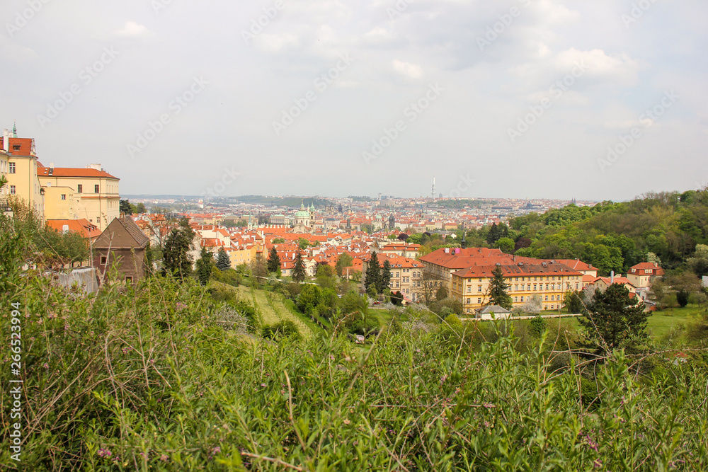 Panoramic view from the view point in Hradcany, Prague, Czech Republic, Green grass on foreground close up