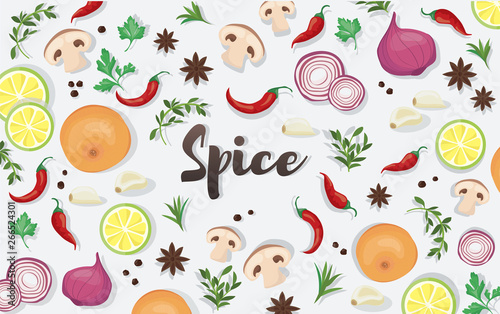 spice and vegetable foods background vector illustration EPS10