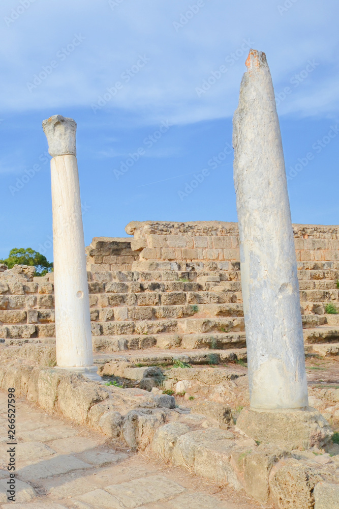 Amazing white Corinthian columns captured on a vertical photography with ancient ruins in the background and blue sky above. Taken in Salamis, near Famagusta in Turkish Northern Cyprus