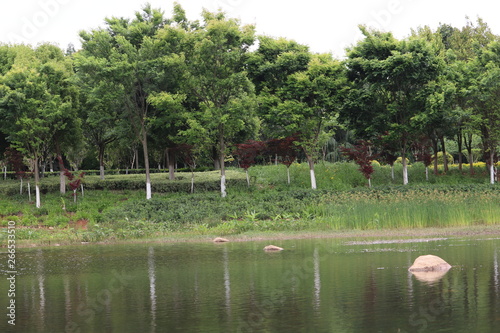 View of water swamp in Kunming