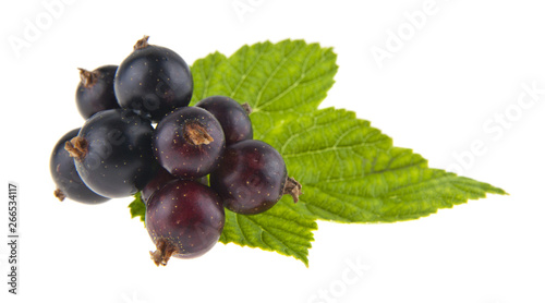 black currant isolated on white background