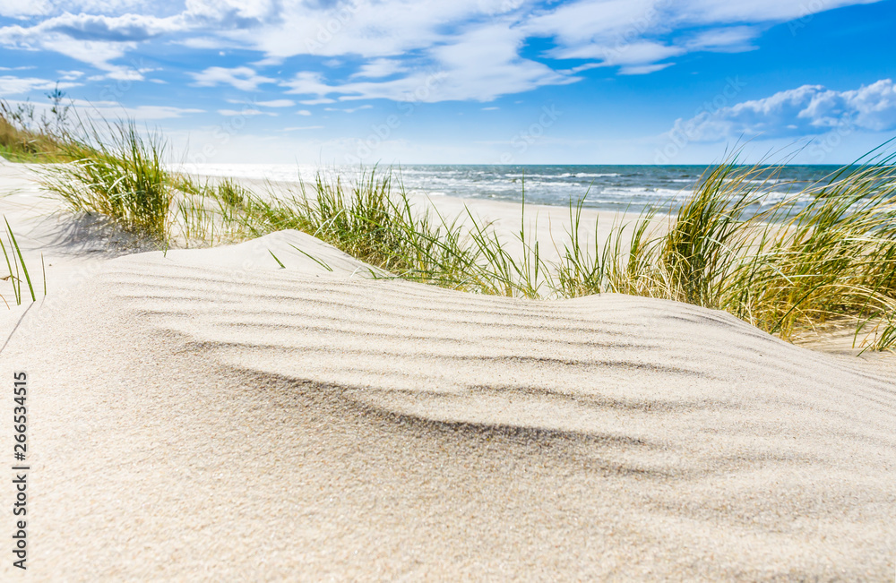 Obraz premium Pusta dzika plaża koło Mrzeżyna nad Bałtykiem w Polsce