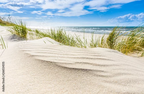 Obraz Pusta dzika plaża koło Mrzeżyna nad Bałtykiem w Polsce