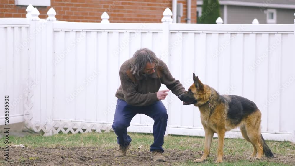 Man scolding his German shepherd for digging a hole in his backyard.