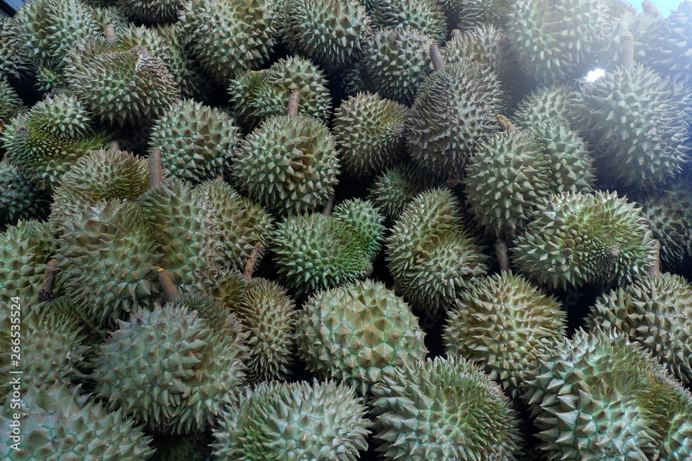 Durian, King of Tropical Fruits in Thailand and Southeast Asia. Durian, King of Tropical Fruits in Thailand and Southeast Asia.
