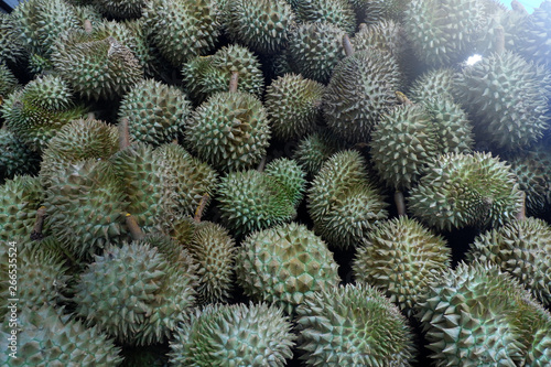 Durian  King of Tropical Fruits in Thailand and Southeast Asia.