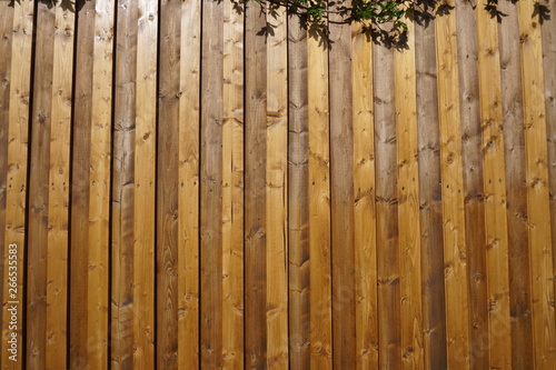 Holzbretter Wand