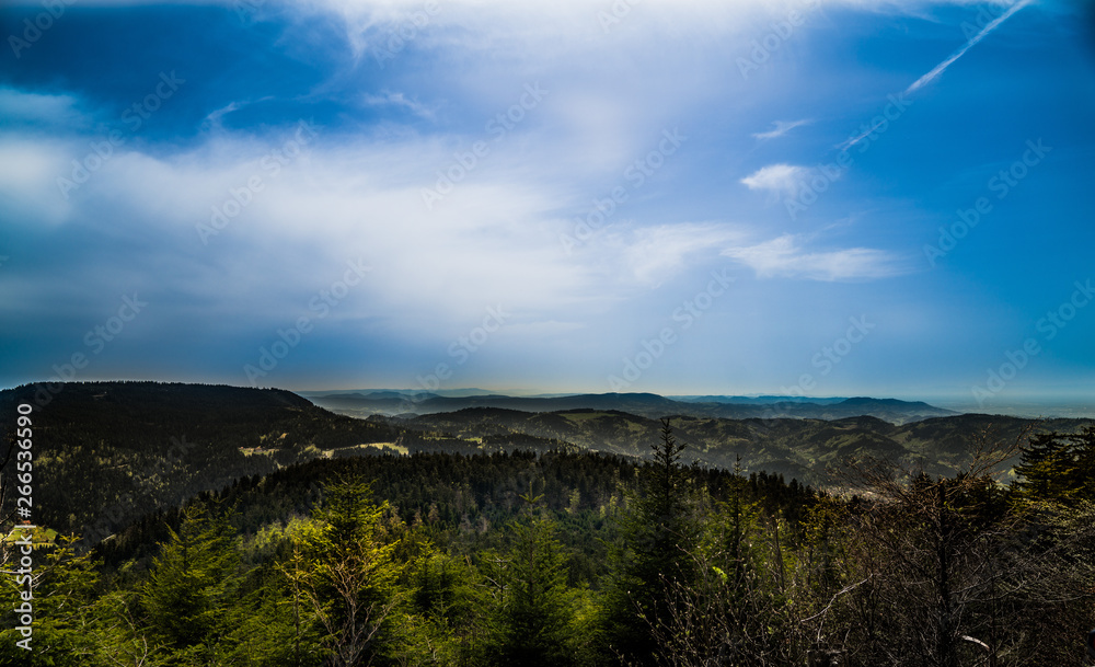 Weitblick Weitblick
