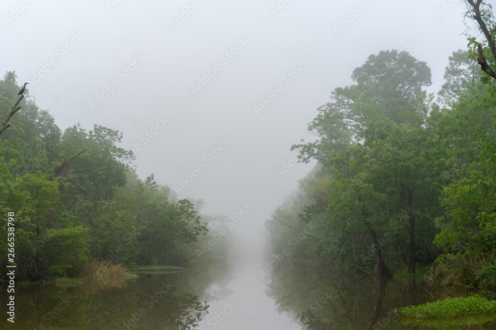 Foggy river