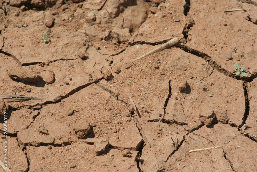 Fototapeta premium Bodenstruktur