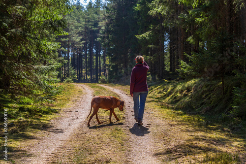 Woman and dog walking on a gravel road in the forest