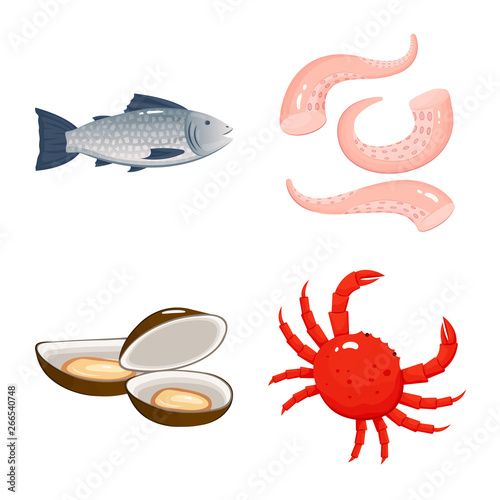 Isolated object of food and sea symbol. Set of food and healthy stock vector illustration.