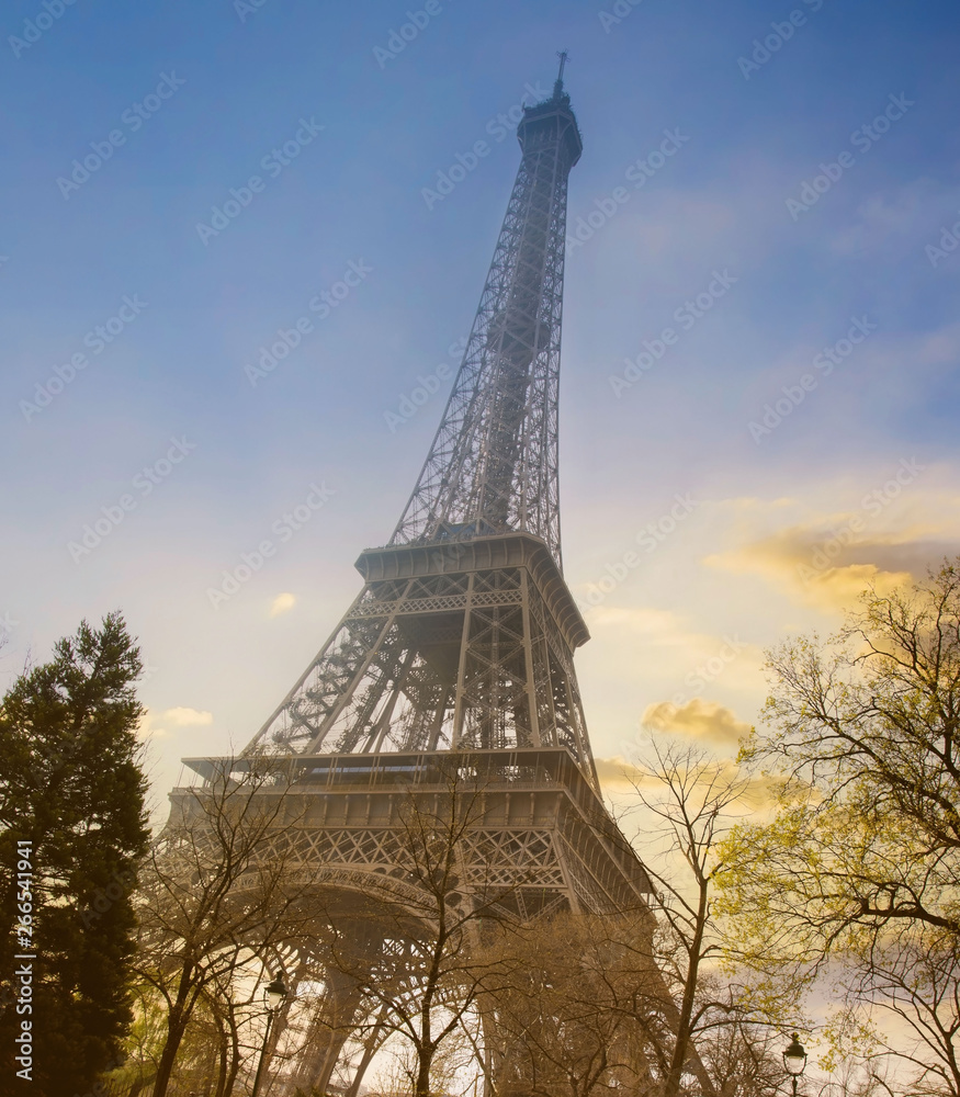 Vertical of  view on the Eiffel tower and Seine river in the evening scene.