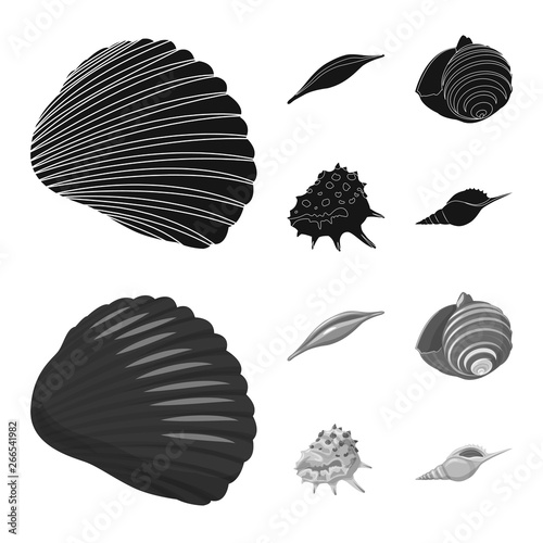 Vector illustration of animal and decoration symbol. Set of animal and ocean stock symbol for web.