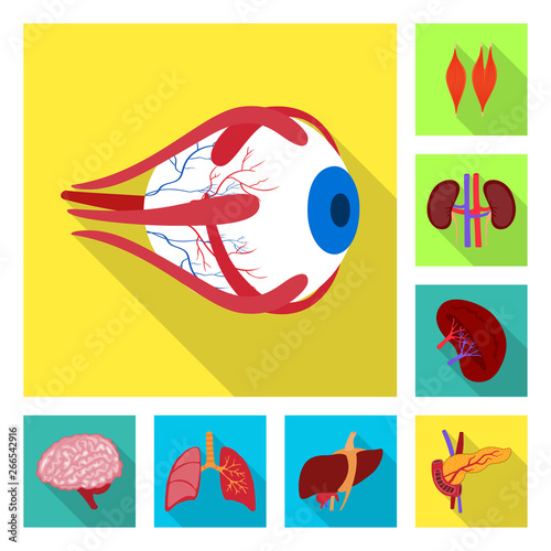 Vector illustration of human and health symbol. Set of human and scientific stock symbol for web.