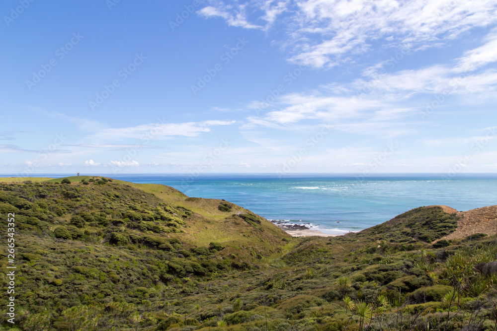 Beautiful Coastline at Omapere, New Zealand Beautiful Coastline at Omapere, New Zealand