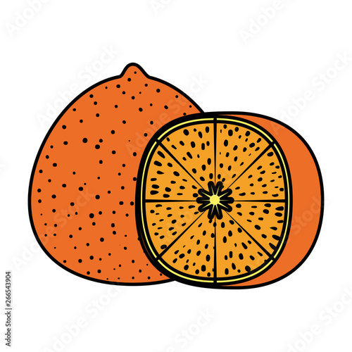 fresh tangerine half citrus fruit