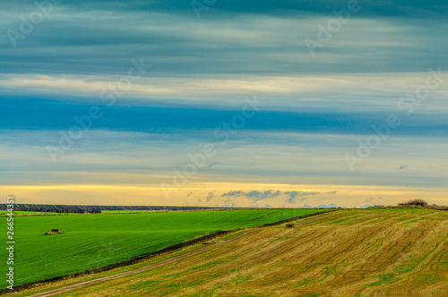 Landscape - Field and morning sun